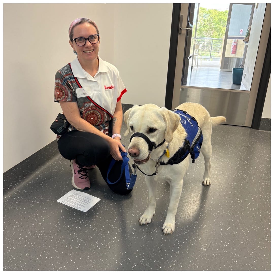 A LiveBig team member kneeling beside a yellow Labrador assistance dog in a blue vest